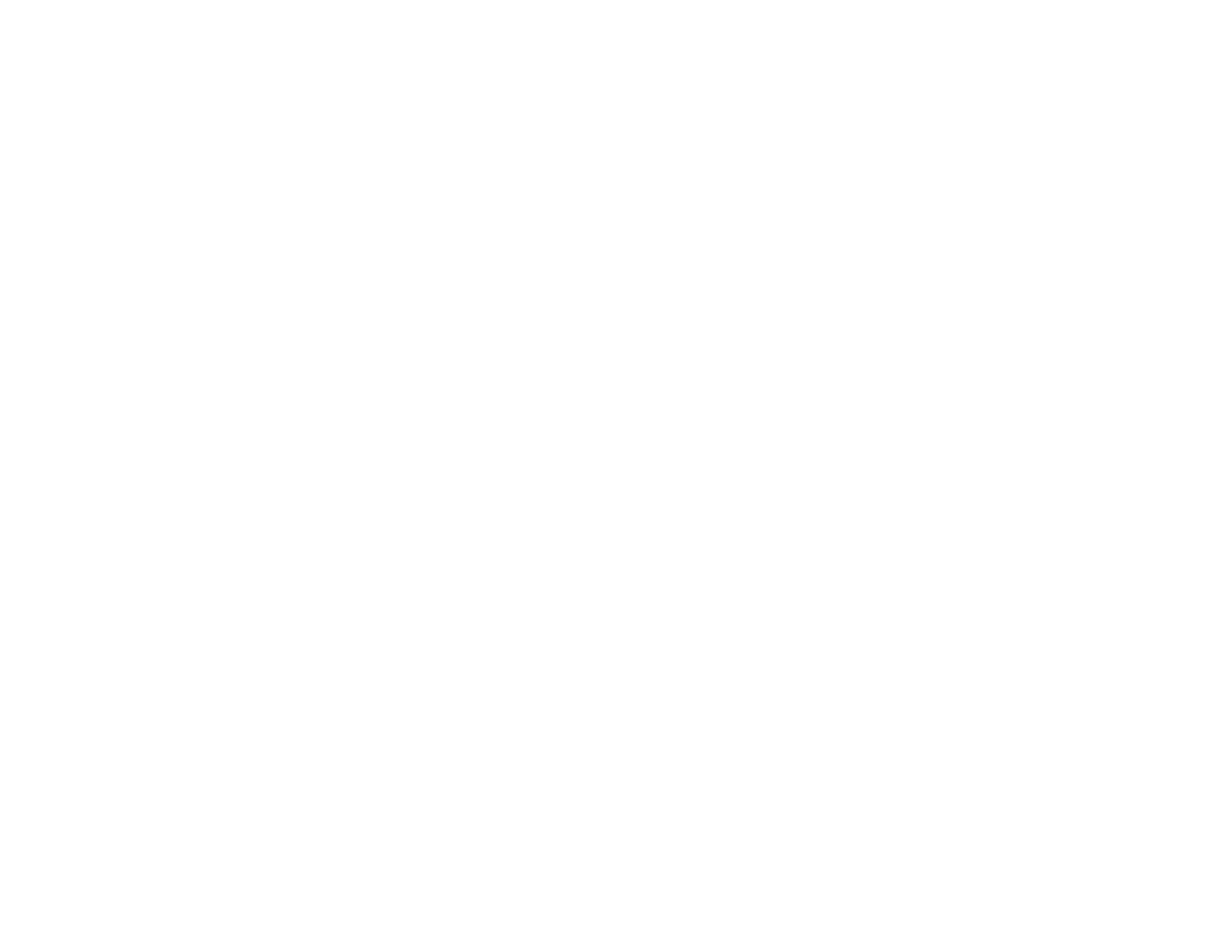 logotipo.vertika.new-04-1